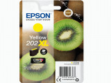 202XL Yellow