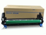 DR310 (4068-613)